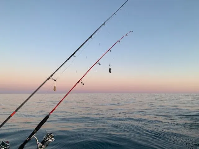 Fishing in Colombo