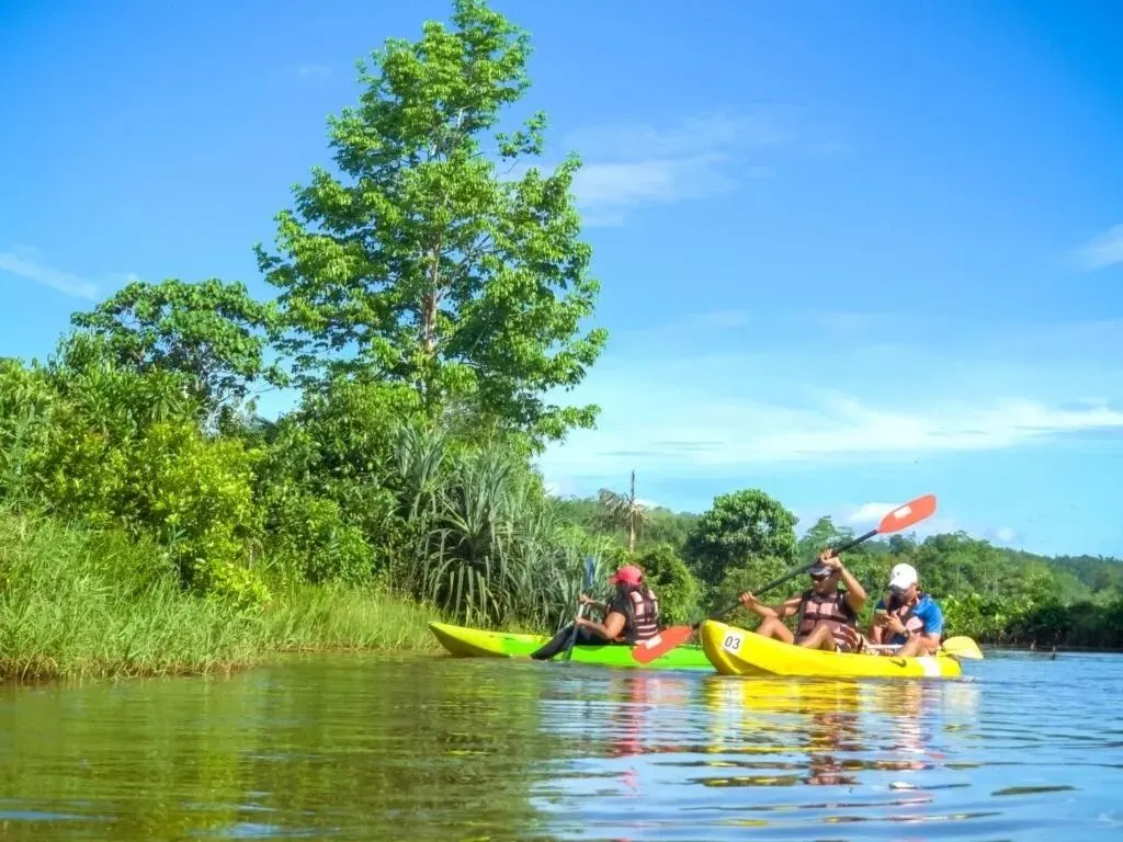 Flat Water Kayaking in Galle