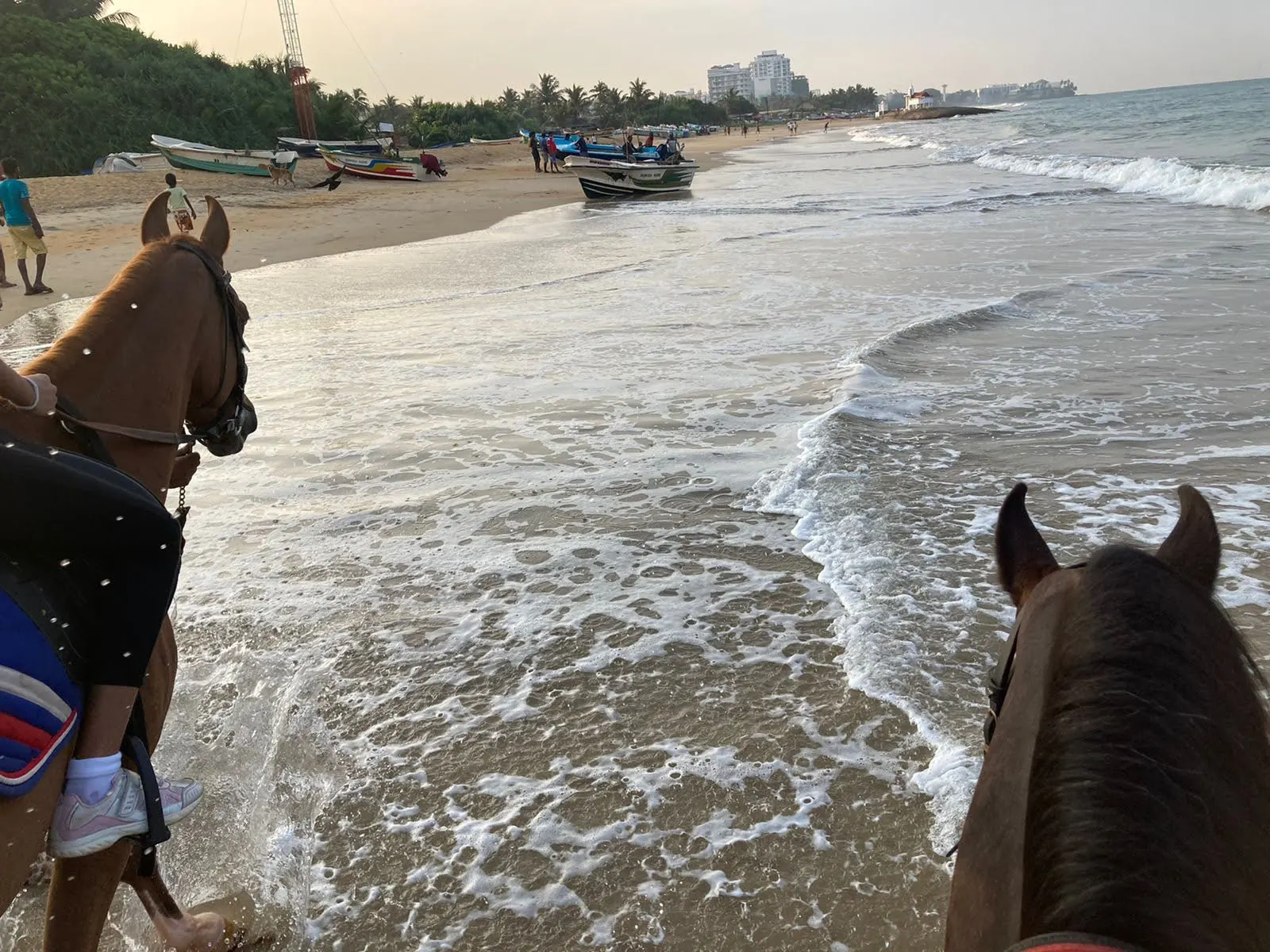 Horse Riding in Mount Lavinia