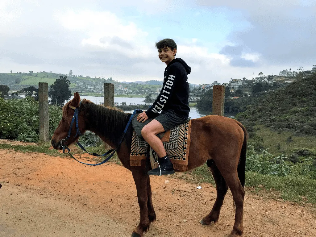 Horse Riding in Nuwara Eliya