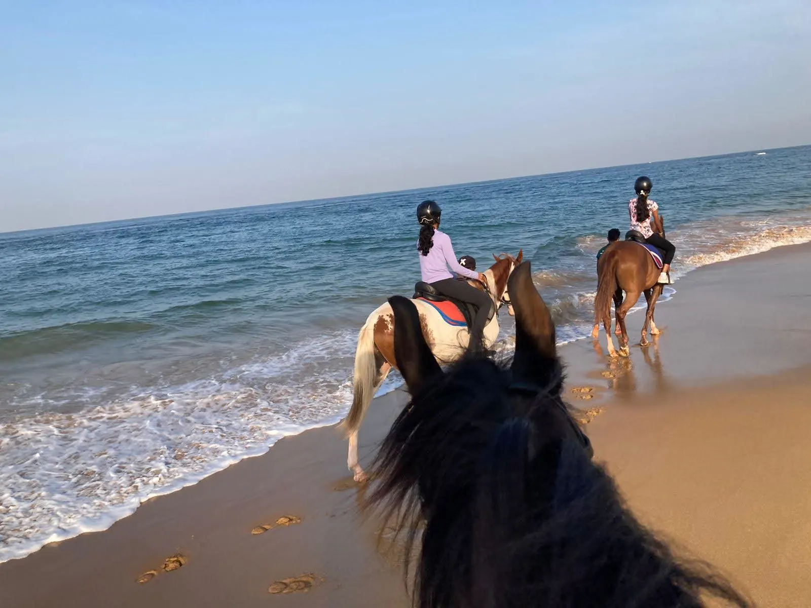 Horse Riding in Port City