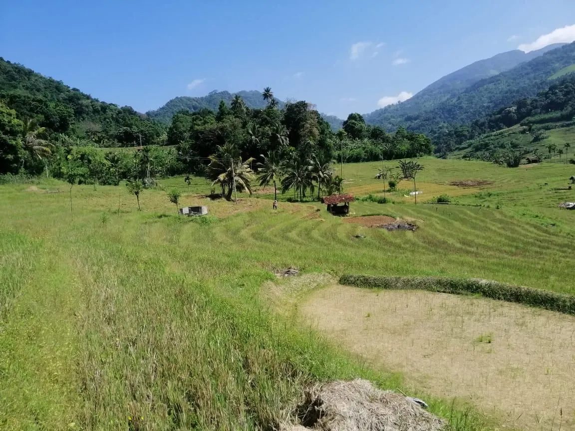 Kandy to Knuckles and Nuwara Eliya: Epic Overnight 2 Days Trekking