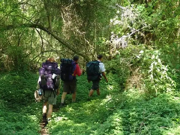 Nidangoda Ella Tour and River Hike