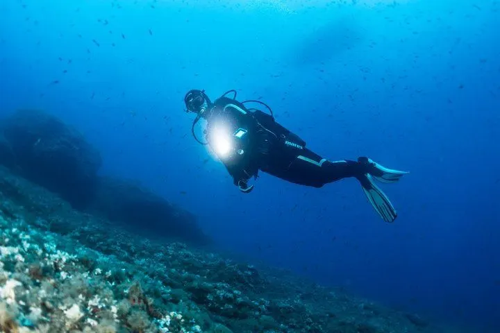 Night Diving in Mirissa