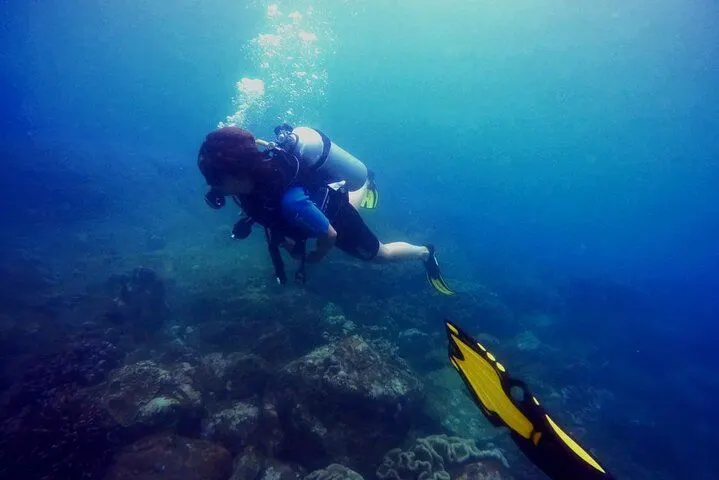 Scuba Diving in Kalpitiya