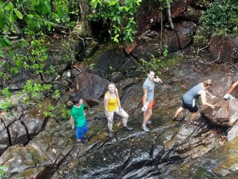 Uduwara and Nagadowa Waterfall Trekking