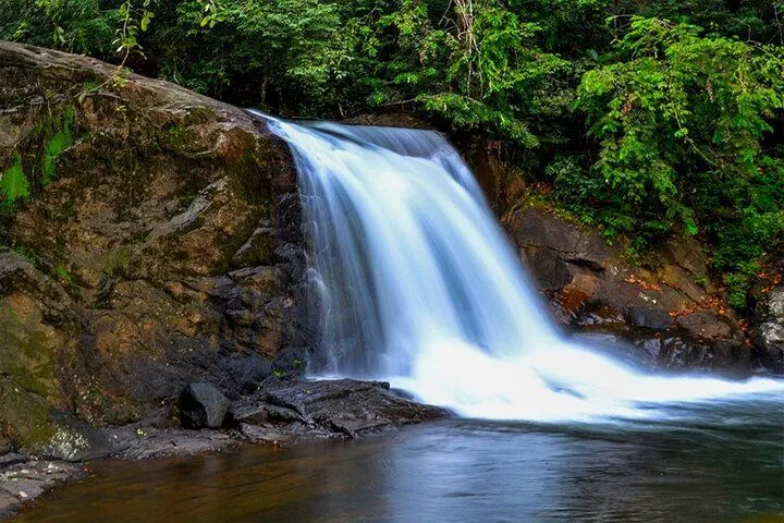 Waterfall Trail Trekking in Sinharaja