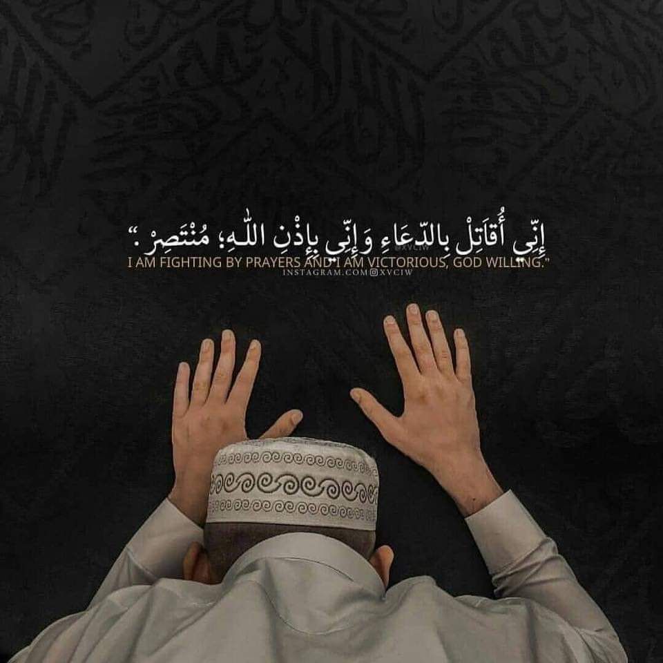 🖼️ صور مرفقة