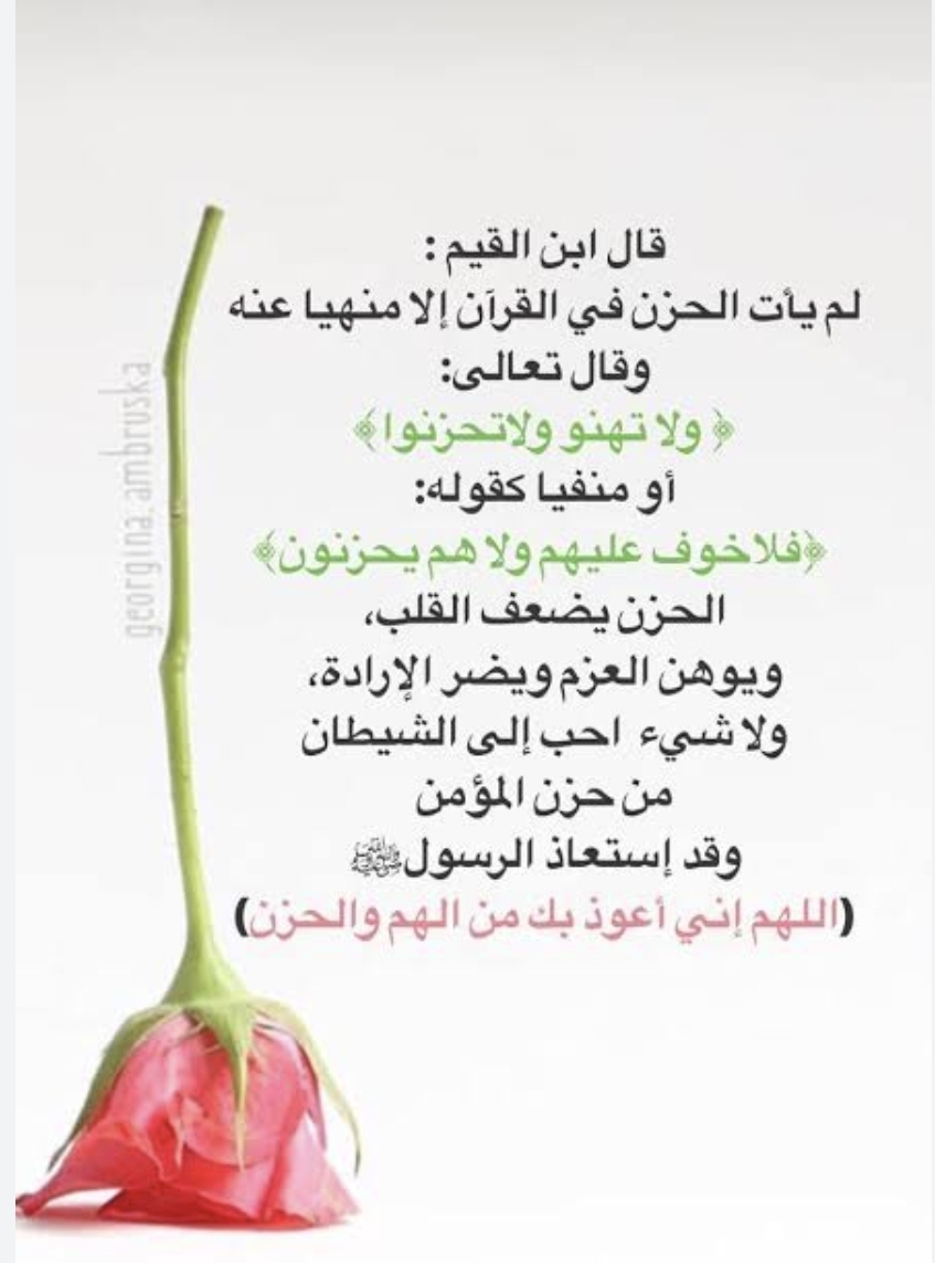الحزن من الشيطان ....يوسوس لك فان اتبعت الوسواس ...صار هو سعيدا وصرت انت حزينا اول ما تلاقى الفكرة دى ...اتبع سنة الحبيب...اللهم انى اعوذ بك من الهم والحزن.