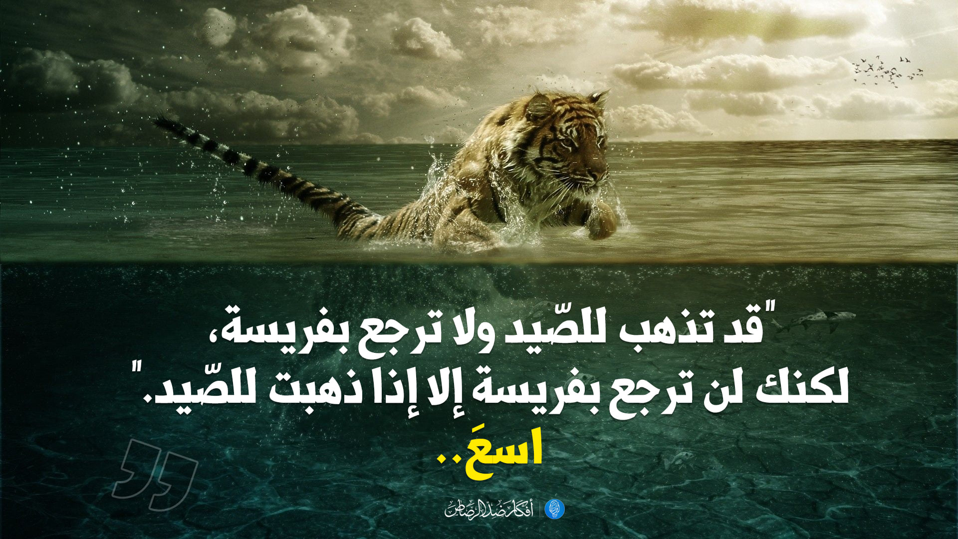 🖼️ صور مرفقة