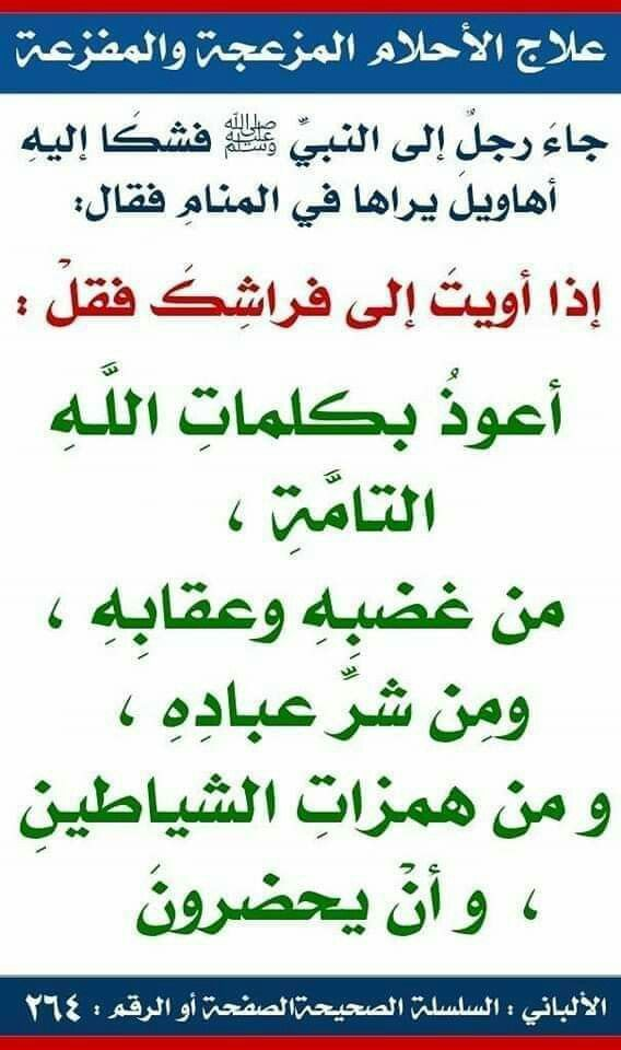 🖼️ صور مرفقة