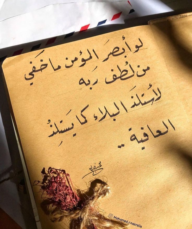 قبل إى شئ طلب الاهتمام مش عيب ولا يقلل منك، لكن خودي بالك مش كل حد يتطلب منه الاهتمام، ففكرة أنك تطلبي من حد حاجة أو تطلبي من حد يهتم بزيادة مش عيب بالعكس ده شئ محبب جداً، هقولك مثال سهل و بسيط هو ربن...