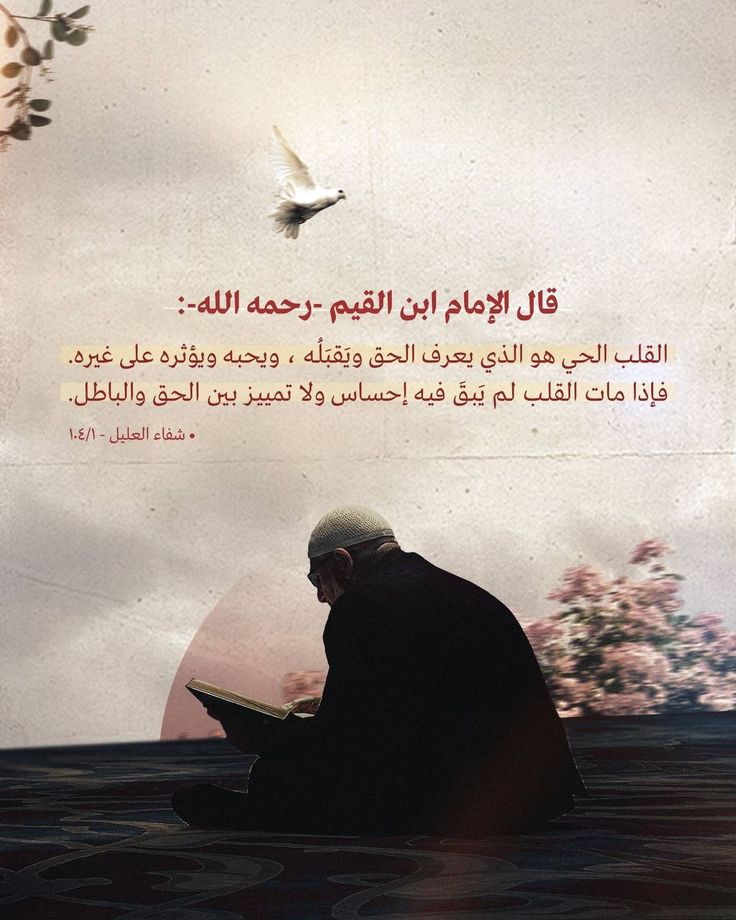 أولاً و قبل إى شئ عايز أقولك إن الحب مش حرام ولكن امتى و أزاي و كيف نحب هو اللي بيحدد ده هيبقى فعل حرام ولا حلال، فلازم نخلي بالنا كويس أوي من الأتي أمتى, وأزاي و كيف. مجرد ما تعرف تعملهم و تخلي بالك ...
