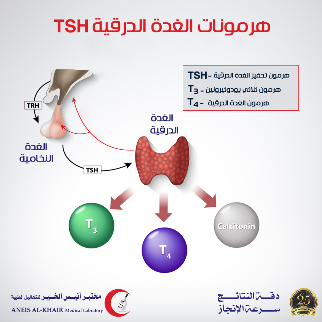 هل يؤثر دواء (نايت كالم 3 مجم) على  إفراز هرمون TSH؟