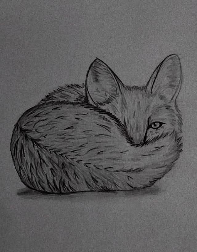 هل رسم الكارتون وذوات الأرواح حرام؟