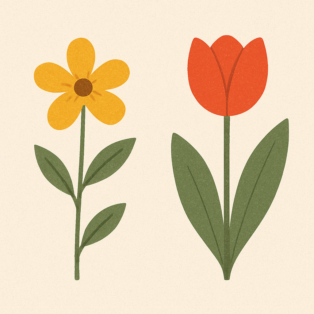 هل جمال الروح كافٍ؟