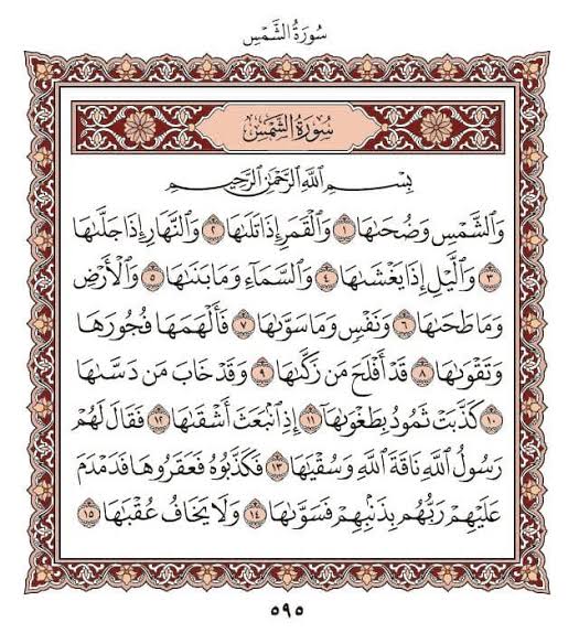 🖼️ صور مرفقة