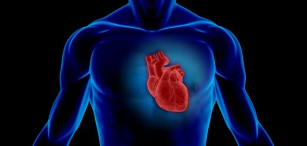 كيف حالك ؟ وكيف قلبك ؟ كيف حال روحك ؟   .. أتُتعب جسدك براحة قلبك أم العكس ؟ ولما ؟ ..