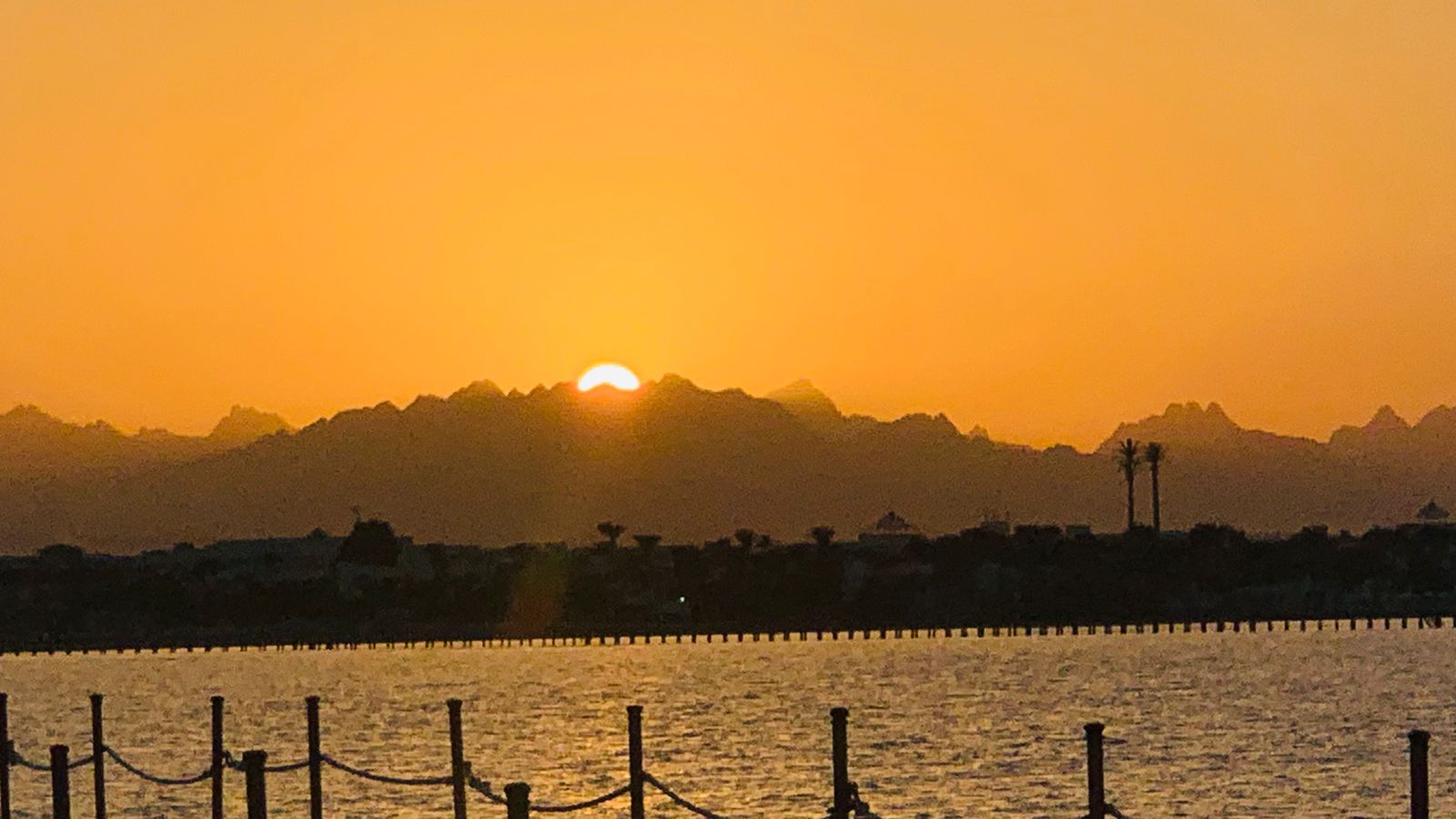 اجتماعي اجتماعي اجتماعي