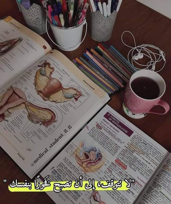 كيف أذاكر لامتحاناتي القريبة في الثانوية الأزهرية؟