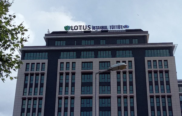 Lotus Cadde - Duvar Ses Yalıtımı