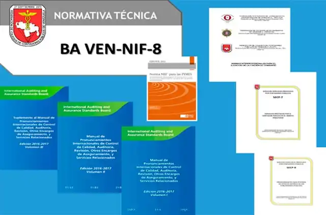 INTRODUCCIÓN A LOS PRINCIPIOS Y NORMAS VIGENTES EN VENEZUELA (VEN NIF, SECP, IFAC) 2020