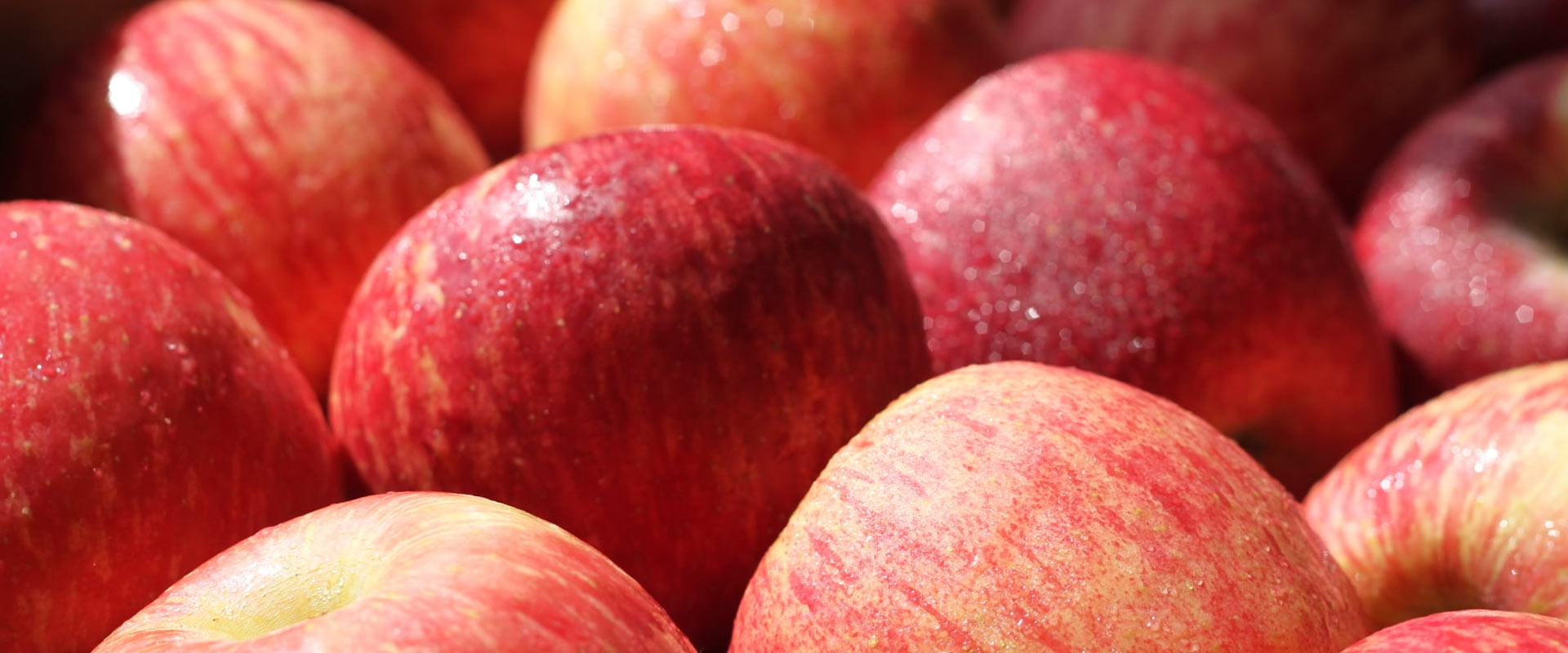 用心．堅持．守護新鮮