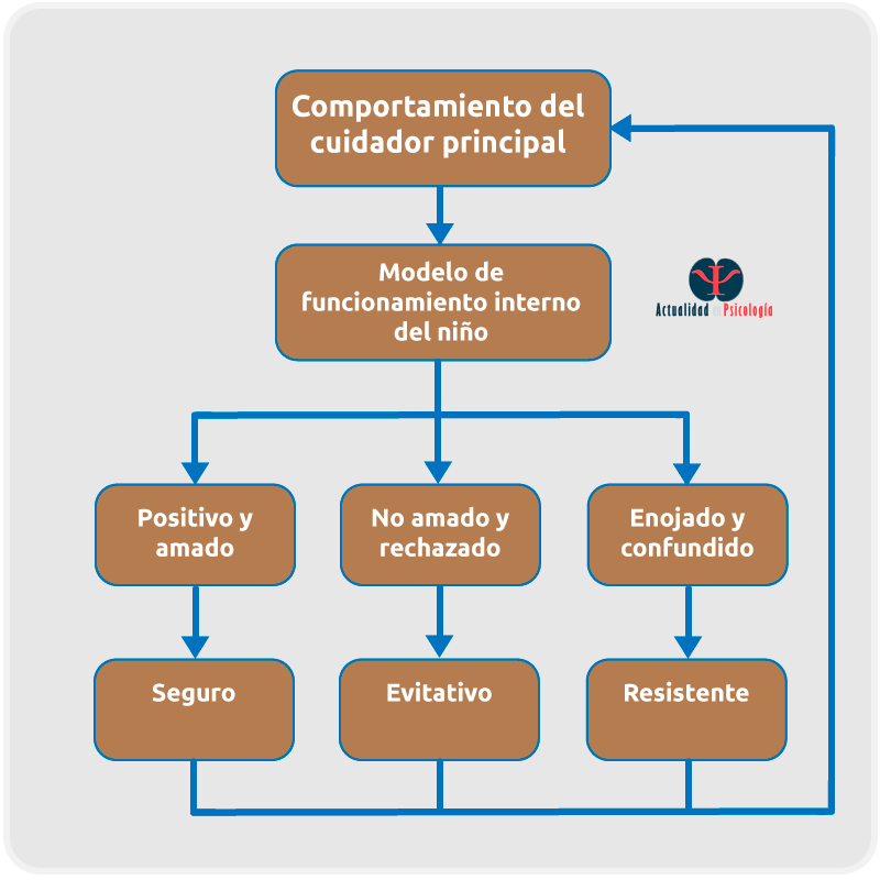 Imagen complementaria del artículo