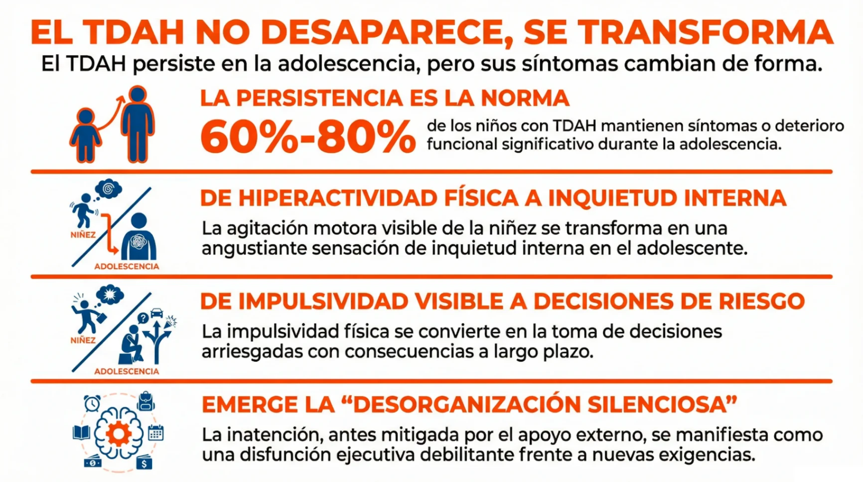 Imagen complementaria del artículo
