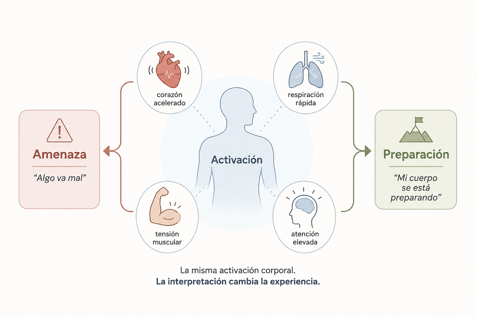 Imagen complementaria del artículo