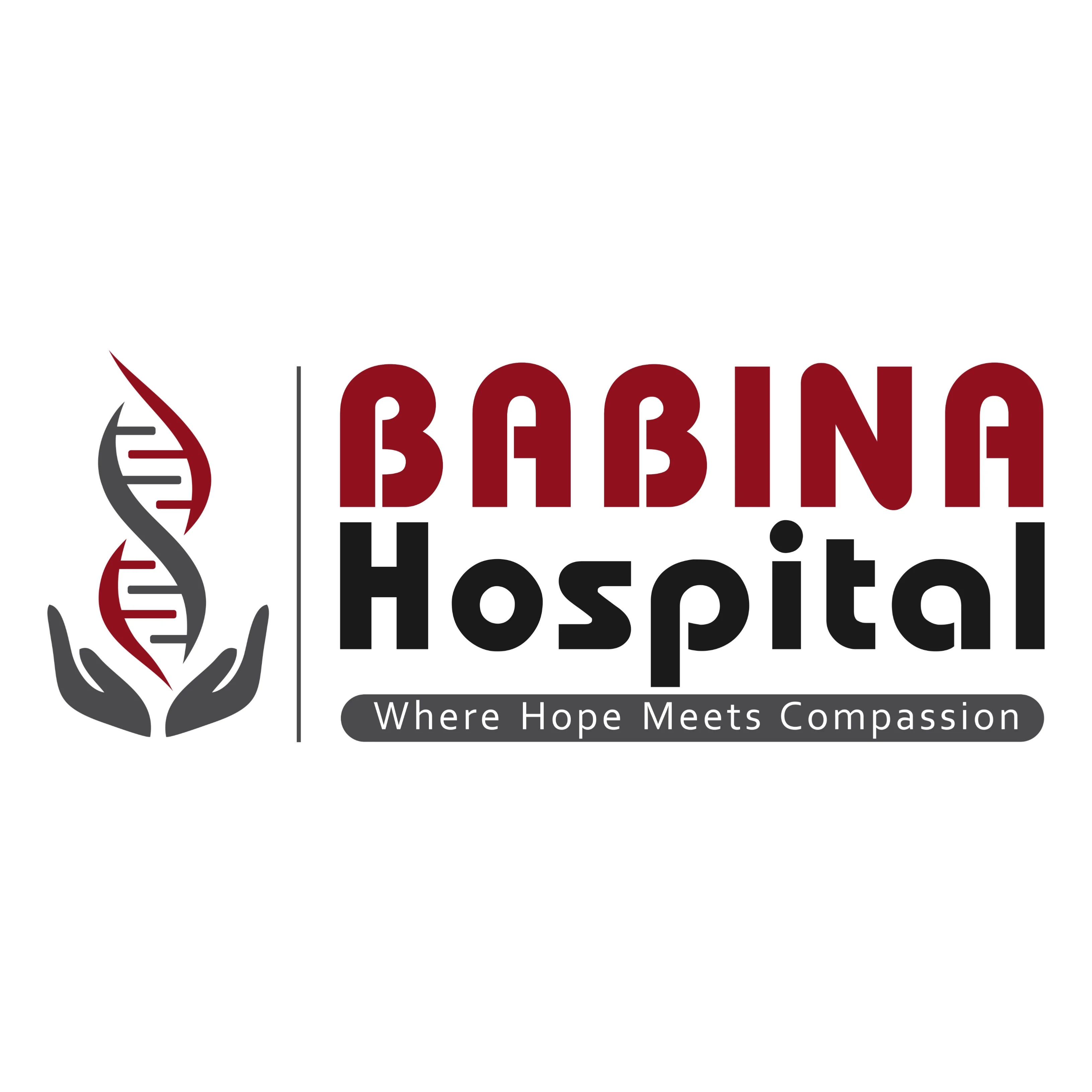 Babina Group