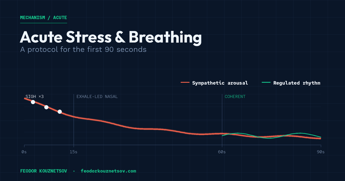 Acute Stress and Breathing — A Protocol for the First 90 Seconds