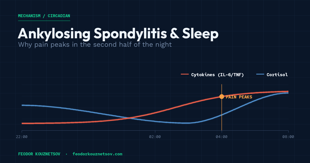 Ankylosing Spondylitis and Sleep — Night Pain, Morning Stiffness, and the Nocturnal Autonomic Shift
