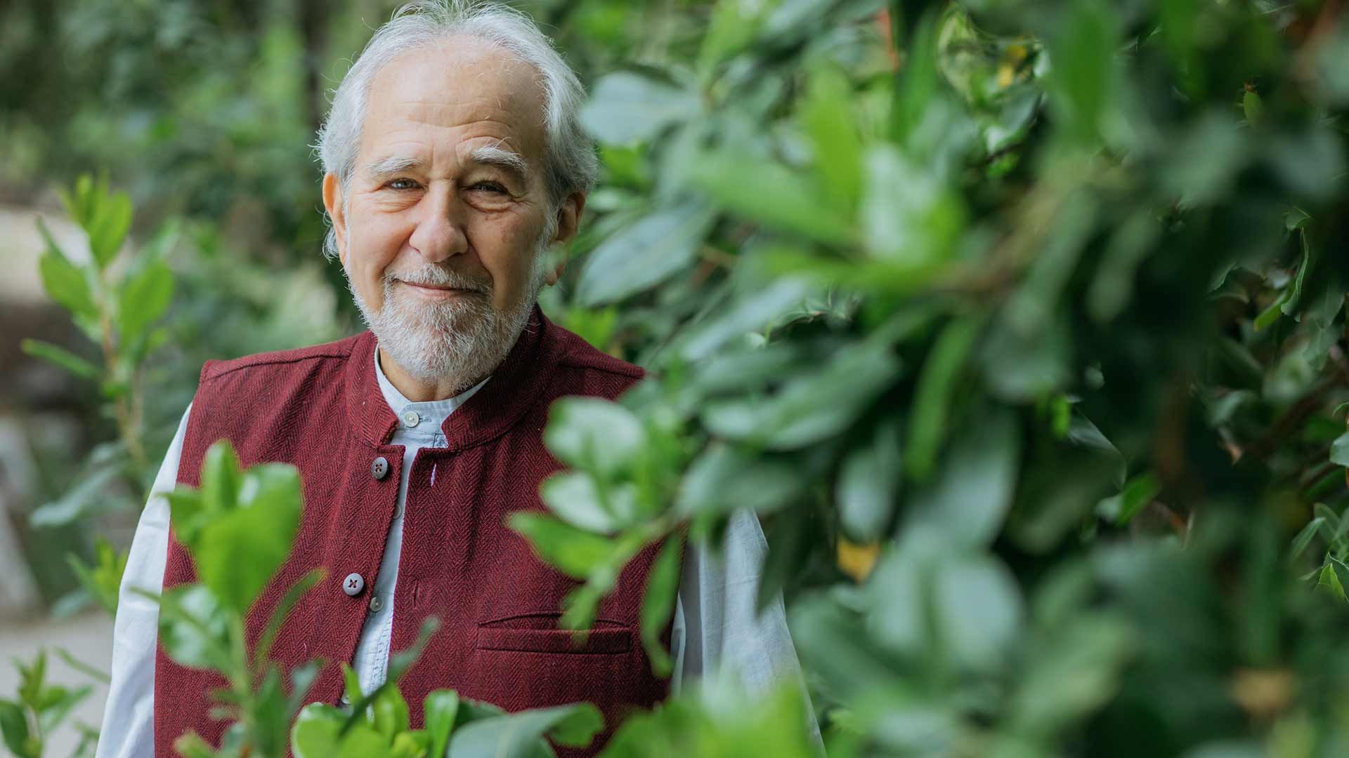 то на самом деле говорит эпигенетика — и почему нервная система важнее, чем вы думаете