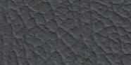 Grey 10 and Perforated