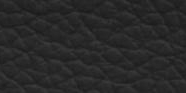 Black 50