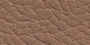 Ten and Perforated