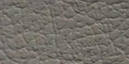 Terra 20 and Perforated