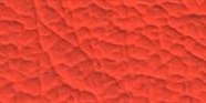 Orange 20