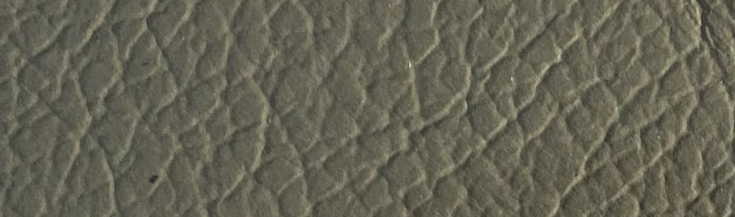 Terra 50