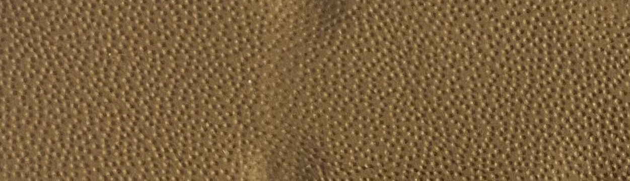 Caramel
