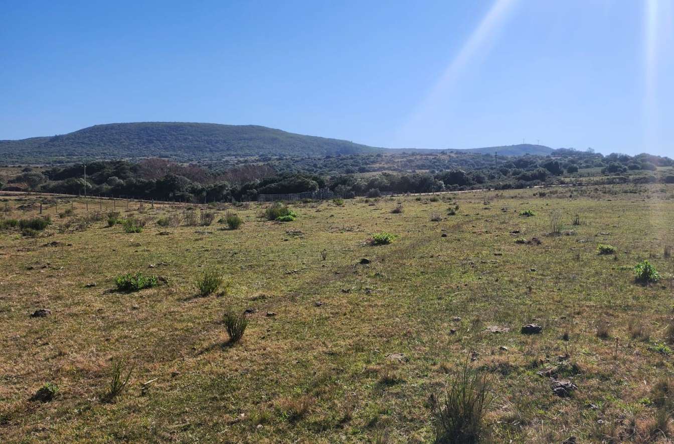 CHACRA 3.5 HECTAREAS PUEBLO EDEN MALDONADO