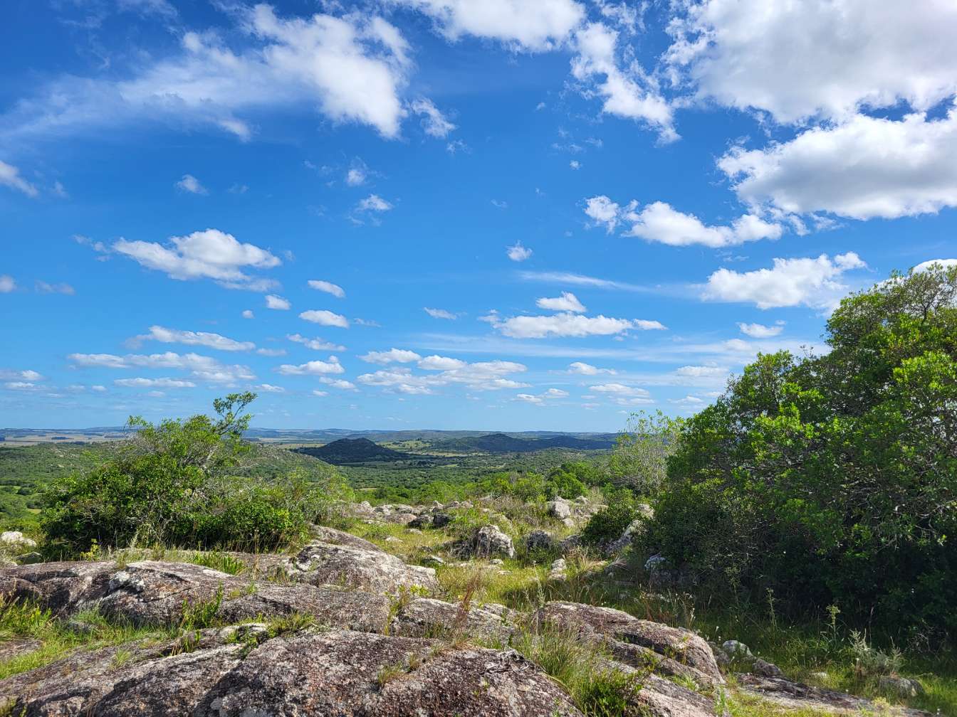 VENTA CAMPO 1.037 HECTAREAS SIERRAS DE LAVALLEJA
