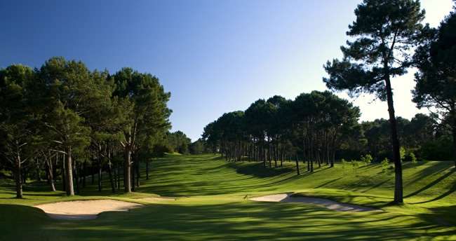 GRAN TERRENO SOBRE EL CLUB DE GOLF