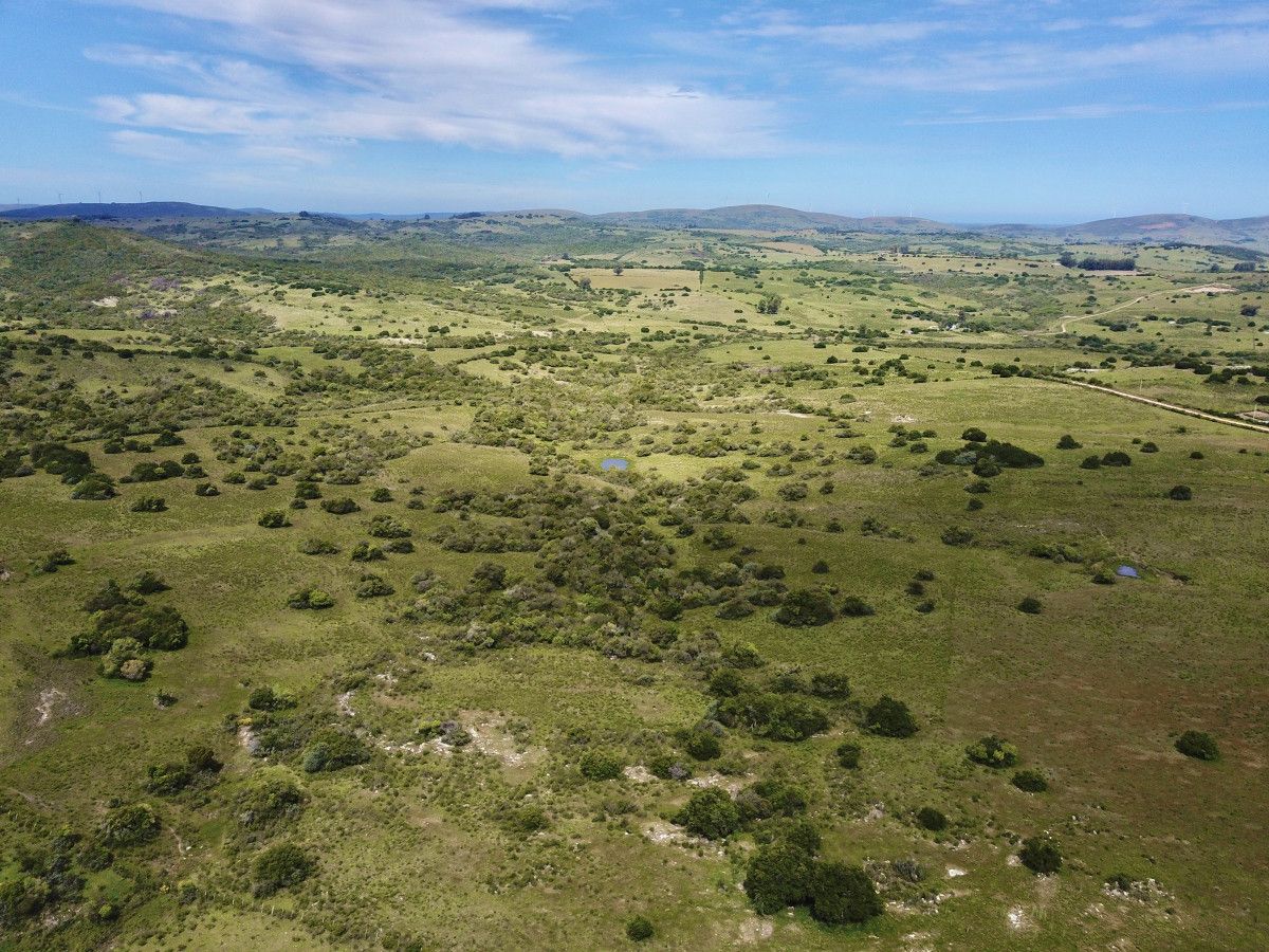 Venta Chacra Pueblo Eden - 5 hectáreas