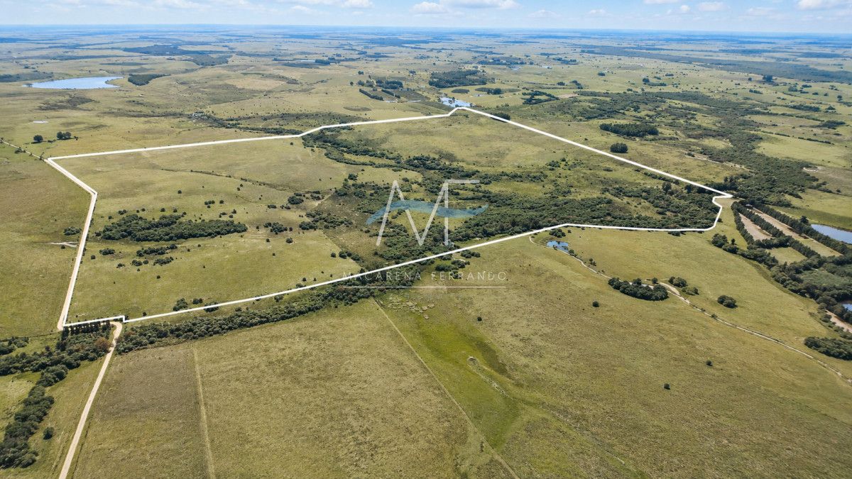 Venta de campo 161 has en Ruta 9, Jose Igancio , Punta del Este 