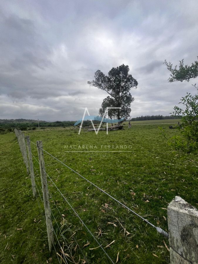 Campo 110 hectáreas en Aiguá