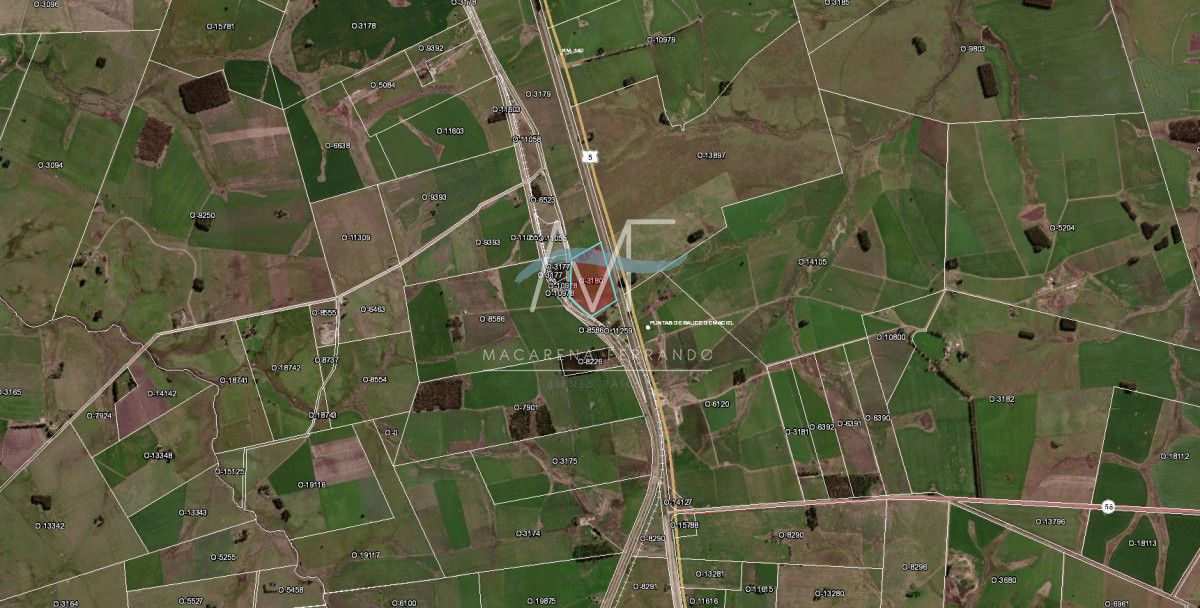 Campo de 10.5 Ha bien logistico en florida