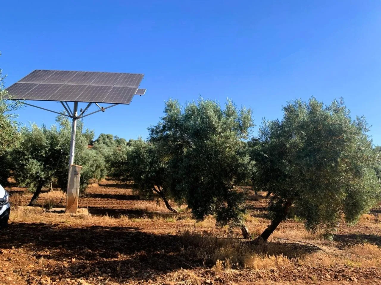 Exklusive Oliven-Finca mit Solarenergie und hoher Rendite in Loja