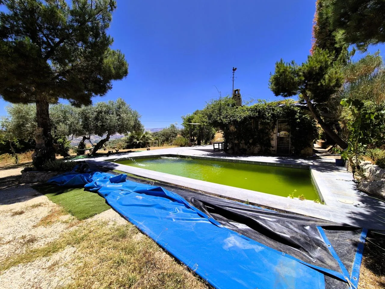 Autarke Finca mit Olivenhain und Pool in Loja, Granada